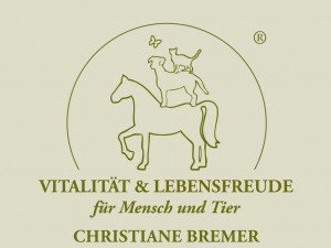 THP_Bremer_Logo